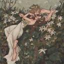 alrightyxaphroditee avatar