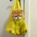 alurkerlieshere avatar