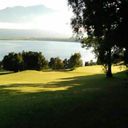 alwaysdreamreal avatar