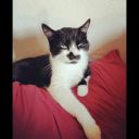 alwaysfavorites avatar