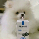 alwayswithtaylor13 avatar