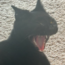 ambiguously-gendered-freak avatar