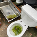 ambivalentlemon avatar