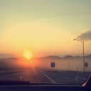 amelia-laelia avatar