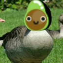 america-the-squid avatar