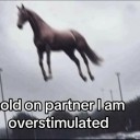 americancisgirl avatar