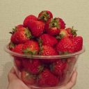 amesterdam-bouquetshothut avatar