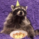 amethystgremlin avatar