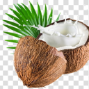 amgrycoconut avatar