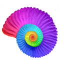 ammonoids avatar