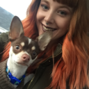 amongstthedaisies-blog avatar