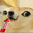 amplifiedreborn-blog avatar