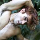 amrpitboyboricua28 avatar