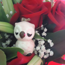 an-asexual-of-owls-and-roses avatar
