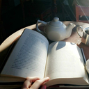 an-empty-northern-hemisphere avatar