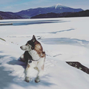 anaspiringman avatar