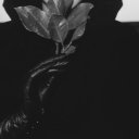 anastasiavixens avatar