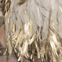 ancestral-musings avatar