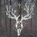 ancientforestgod avatar