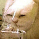 andnow-wescream avatar