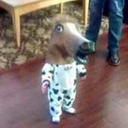 andrew27things avatar