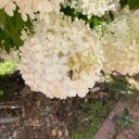 andyreyes-life avatar