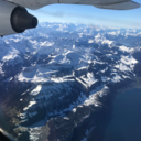 andythebest10 avatar