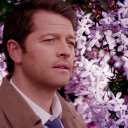 angelcaswinchester avatar