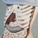 angelfetishism avatar