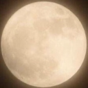 angelicbruising avatar