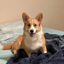 angelicdemon25 avatar