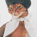 angelofcities avatar