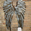 angelsnfuselage avatar