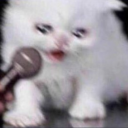 angrynerdalpaca avatar