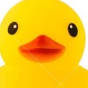 angryrubberducky avatar