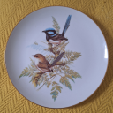 angrysaladcreation avatar