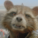 angsty-raccoon avatar