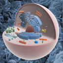 animalcell avatar