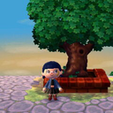 animalcrossing-nowhere avatar