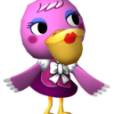 animalcrossingmeme-blog avatar