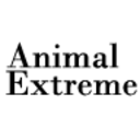 animalextreme-blog avatar