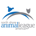 animalleague-blog avatar