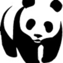 animalsnews avatar