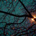 anitaplayground avatar