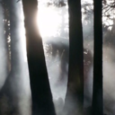 annies-story-board avatar