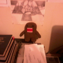 anoldw0lfnam3dst3v3 avatar