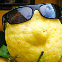 anon-lemon avatar