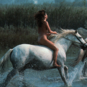 anonimamentelesbot avatar