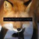 anonymousbitchfox avatar