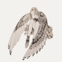 anonymouscrane avatar